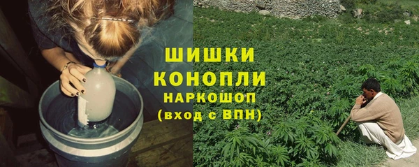 прущие грибы Абдулино