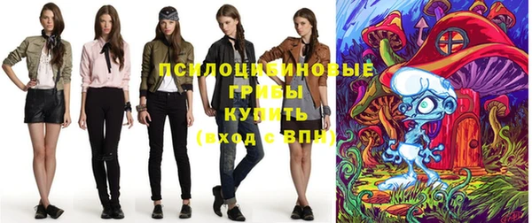 прущие грибы Абаза