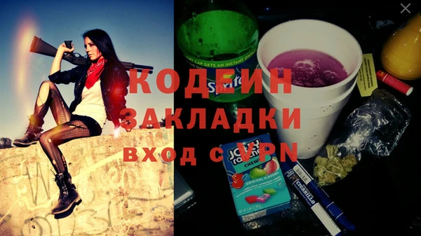 прущие грибы Абаза