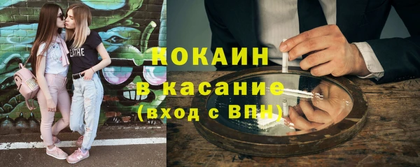 индика Медвежьегорск