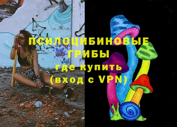 прущие грибы Абаза