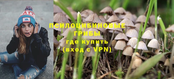 прущие грибы Абдулино