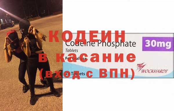 прущие грибы Абаза